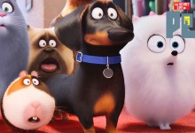 secret-life-of-pets secret-life-of-pets