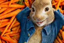 peter-rabbit peter-rabbit