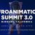 afroanimation-summit